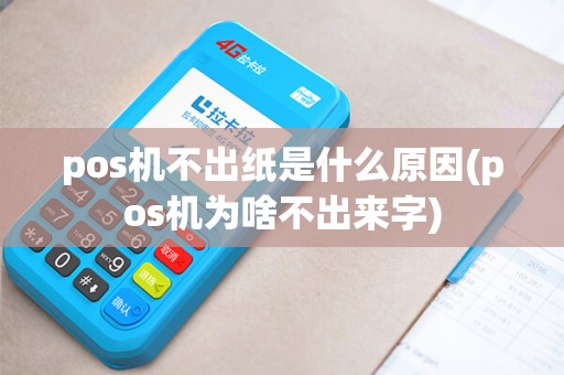 pos机不出纸是什么原因(pos机为啥不出来字)