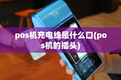 pos机充电线是什么口(pos机的插头)