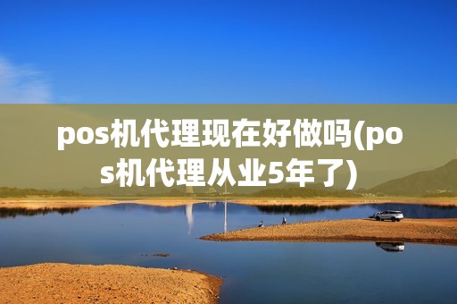 pos机代理现在好做吗(pos机代理从业5年了)