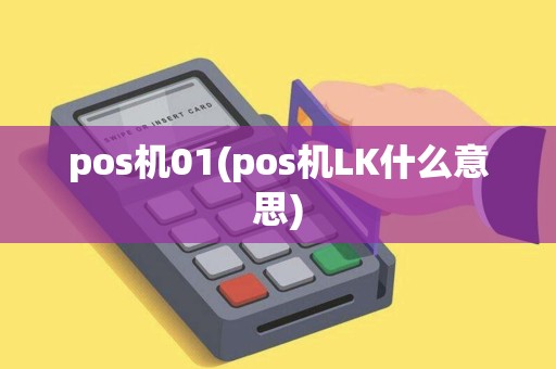 pos机01(pos机LK什么意思)