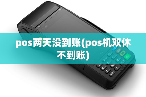 pos两天没到账(pos机双休不到账)