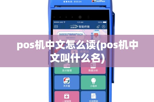pos机中文怎么读(pos机中文叫什么名)