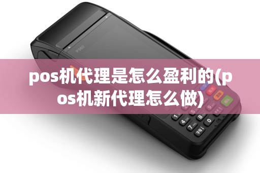pos机代理是怎么盈利的(pos机新代理怎么做)