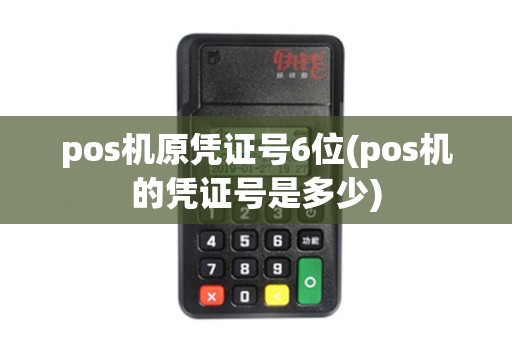 pos机原凭证号6位(pos机的凭证号是多少)