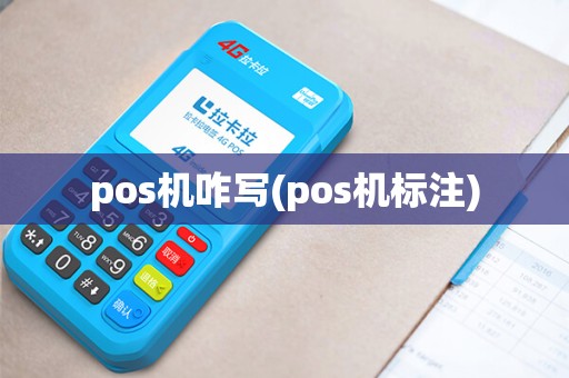 pos机咋写(pos机标注)