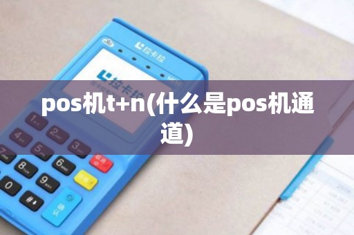 pos机t+n(什么是pos机通道)
