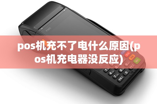 pos机充不了电什么原因(pos机充电器没反应)