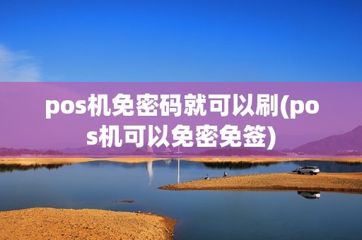 pos机免密码就可以刷(pos机可以免密免签)