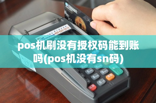 pos机刷没有授权码能到账吗(pos机没有sn码)