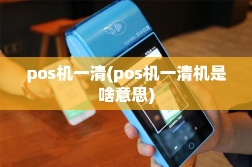 pos机一清(pos机一清机是啥意思)