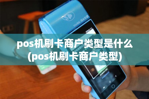pos机刷卡商户类型是什么(pos机刷卡商户类型)