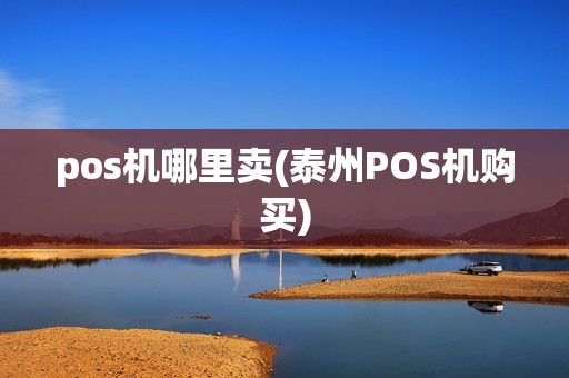 pos机哪里卖(泰州POS机购买)