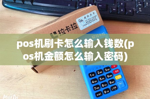 pos机刷卡怎么输入钱数(pos机金额怎么输入密码)