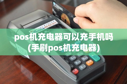 pos机充电器可以充手机吗(手刷pos机充电器)
