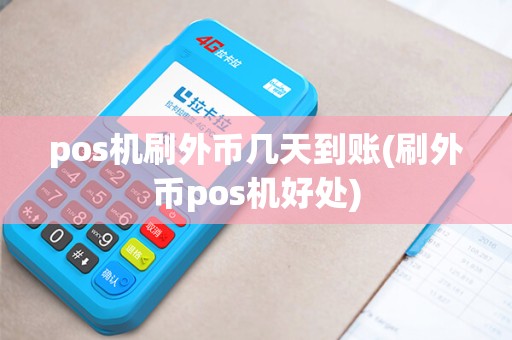 pos机刷外币几天到账(刷外币pos机好处)