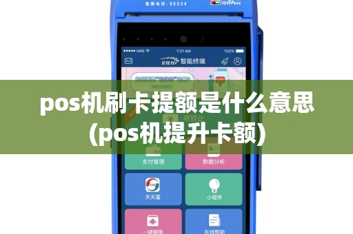 pos机刷卡提额是什么意思(pos机提升卡额)