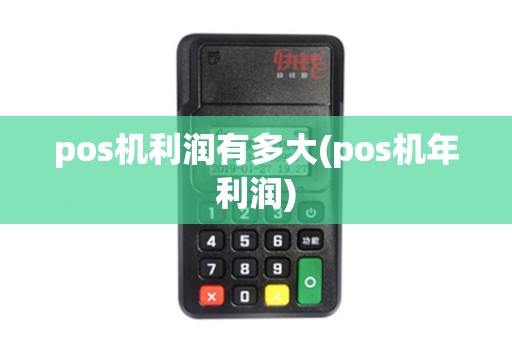 pos机利润有多大(pos机年利润)