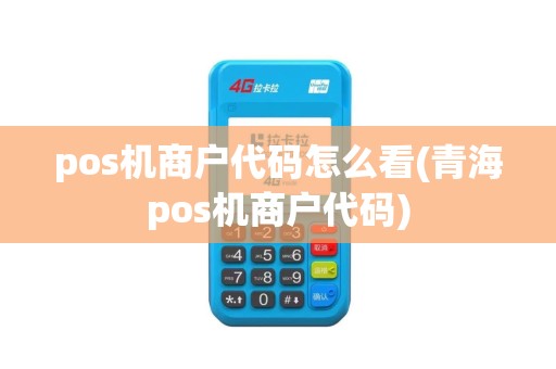 pos机商户代码怎么看(青海pos机商户代码)