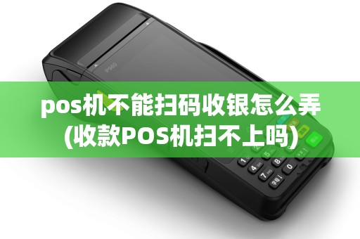 pos机不能扫码收银怎么弄(收款POS机扫不上吗)