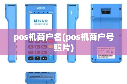 pos机商户名(pos机商户号照片)