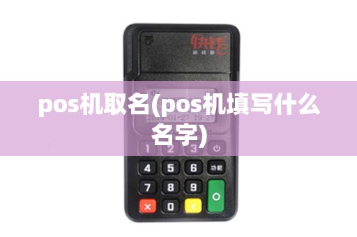 pos机取名(pos机填写什么名字)