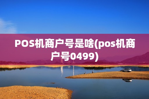 POS机商户号是啥(pos机商户号0499)