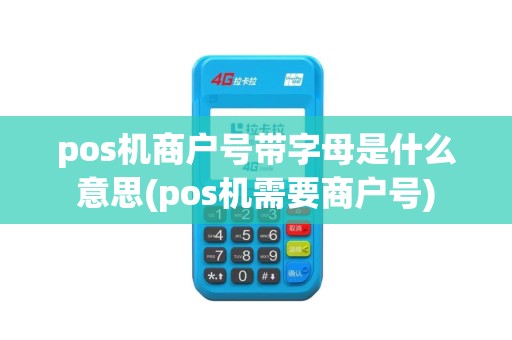 pos机商户号带字母是什么意思(pos机需要商户号)