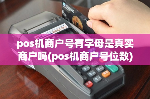 pos机商户号有字母是真实商户吗(pos机商户号位数)