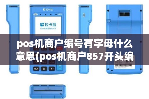pos机商户编号有字母什么意思(pos机商户857开头编号)