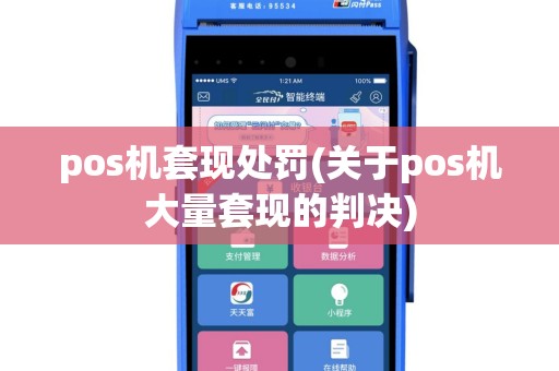 pos机套现处罚(关于pos机大量套现的判决)
