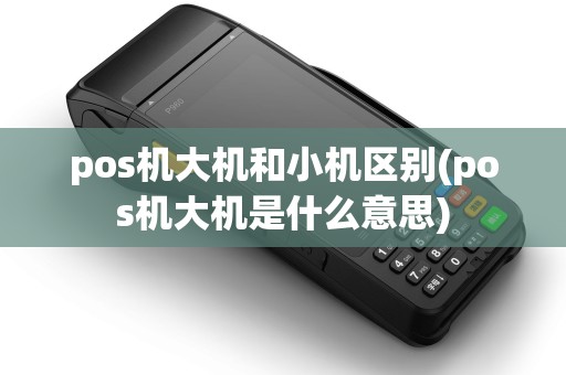 pos机大机和小机区别(pos机大机是什么意思)