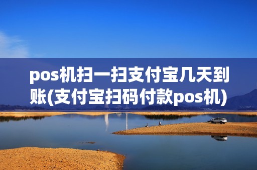 pos机扫一扫支付宝几天到账(支付宝扫码付款pos机)