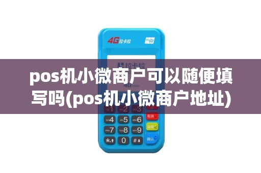 pos机小微商户可以随便填写吗(pos机小微商户地址)
