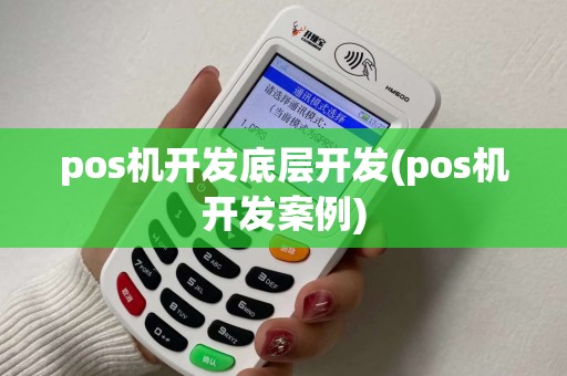 pos机开发底层开发(pos机开发案例)