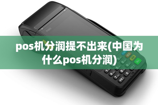 pos机分润提不出来(中国为什么pos机分润)