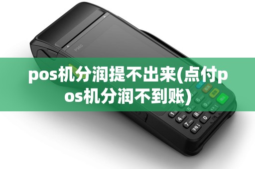 pos机分润提不出来(点付pos机分润不到账)