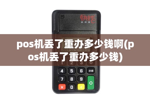 pos机丢了重办多少钱啊(pos机丢了重办多少钱)