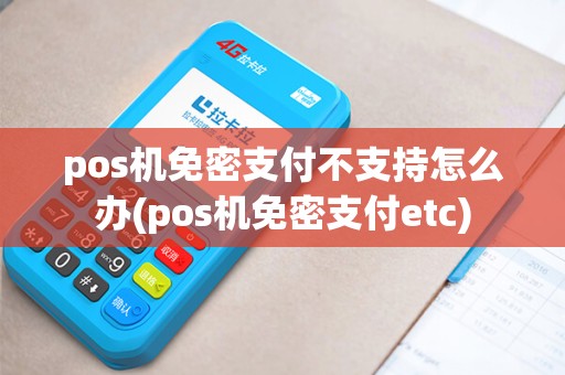 pos机免密支付不支持怎么办(pos机免密支付etc)
