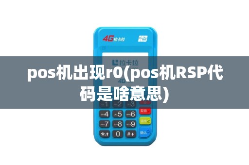 pos机出现r0(pos机RSP代码是啥意思)