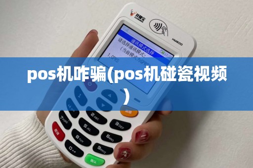 pos机咋骗(pos机碰瓷视频)