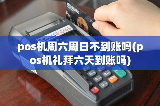 pos机周六周日不到账吗(pos机礼拜六天到账吗)