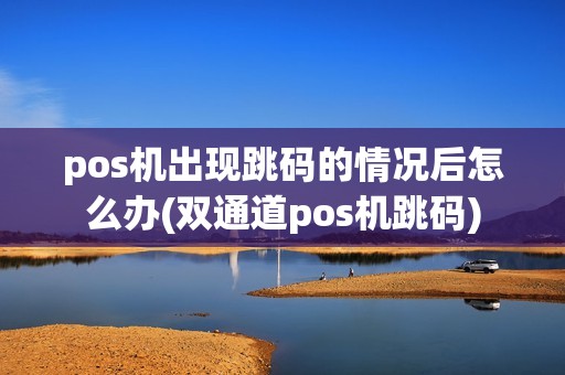 pos机出现跳码的情况后怎么办(双通道pos机跳码)