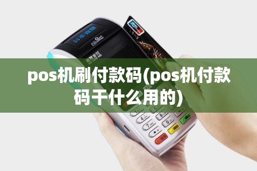 pos机刷付款码(pos机付款码干什么用的)