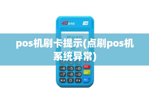 pos机刷卡提示(点刷pos机系统异常)