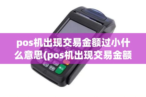 pos机出现交易金额过小什么意思(pos机出现交易金额)
