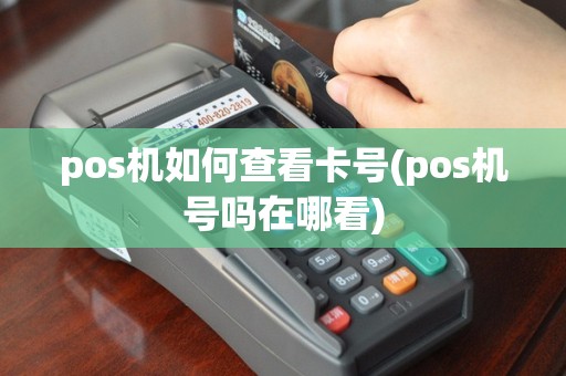 pos机如何查看卡号(pos机号吗在哪看)