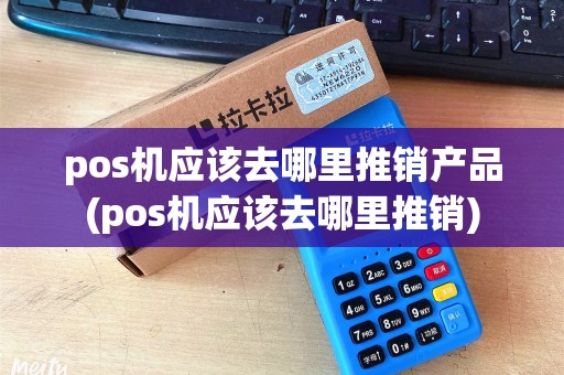 pos机应该去哪里推销产品(pos机应该去哪里推销)