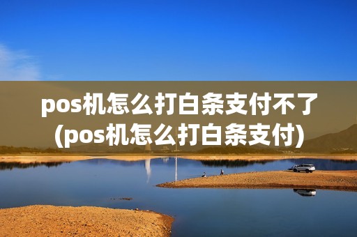 pos机怎么打白条支付不了(pos机怎么打白条支付)