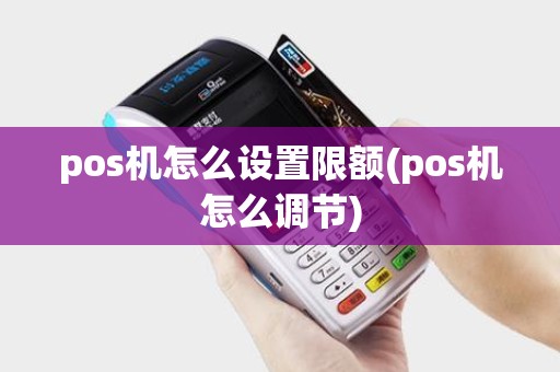 pos机怎么设置限额(pos机怎么调节)