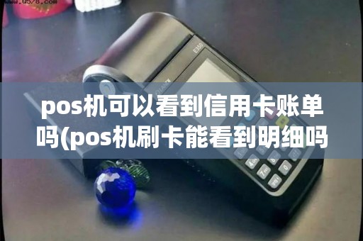 pos机可以看到信用卡账单吗(pos机刷卡能看到明细吗)